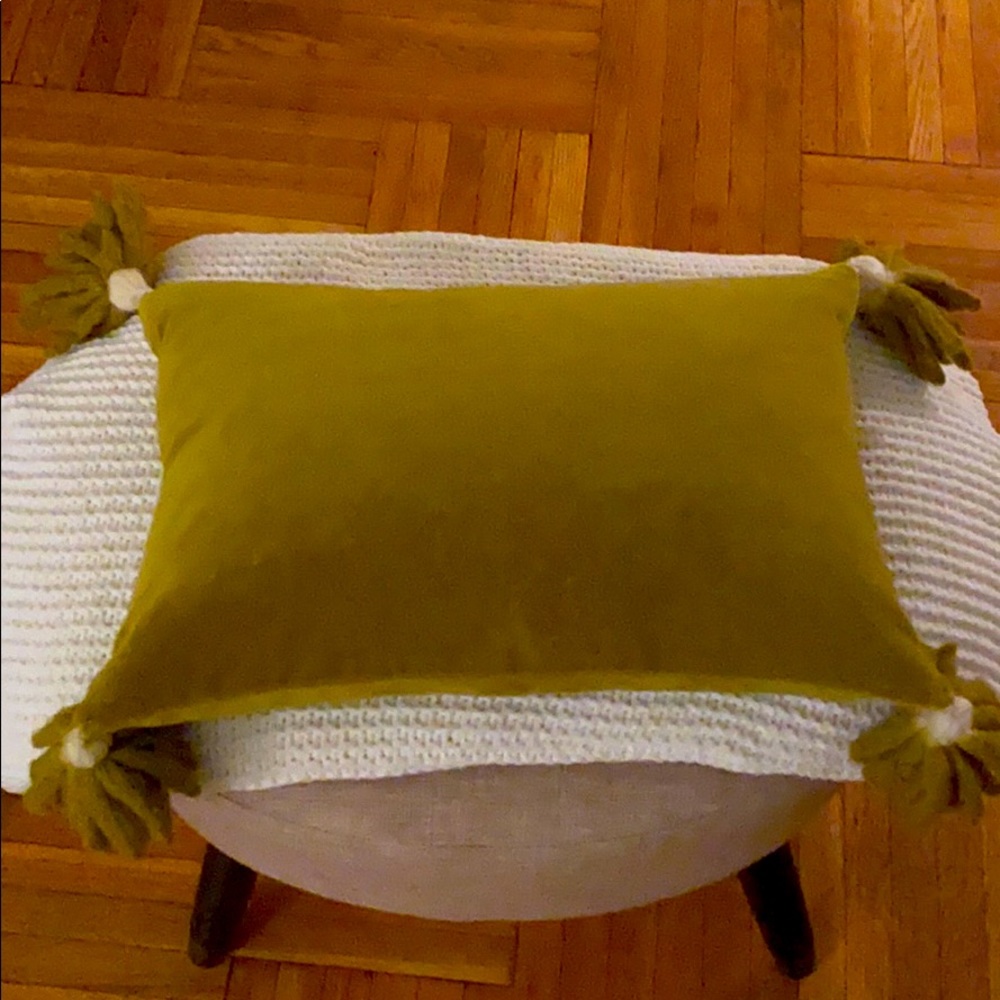 CB2 Velvet pillows
